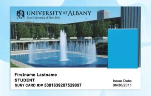 Editable University at Albany ID PSD Template