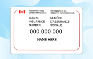 Editable Canada SIN Card PSD Template