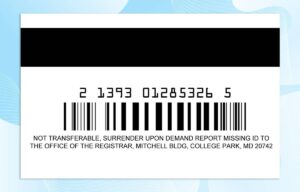 Editable University of Maryland ID PSD Template