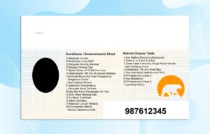 Editable Northwest Drivers License Template