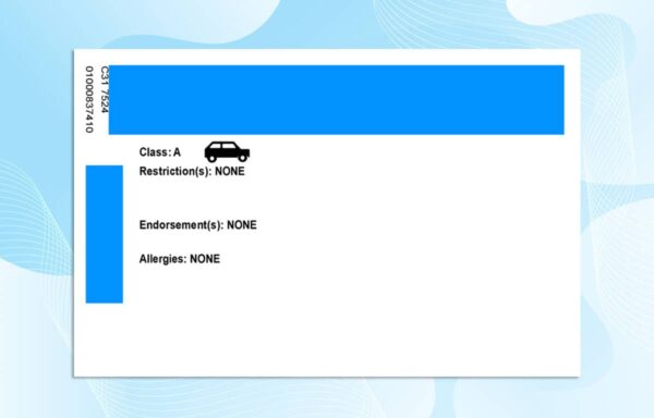 Editable Virgin Islands Drivers License Template