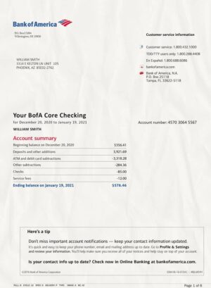 Editable Bank of America Statement PSD Template
