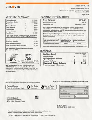 Editable Discover Credit Card Statement PSD Template