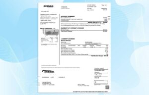 Editable USA Utility Bill Template (SCE&G)