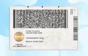 Editable Arkansas drivers license Template