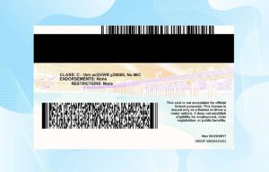 California Drivers License Template Download