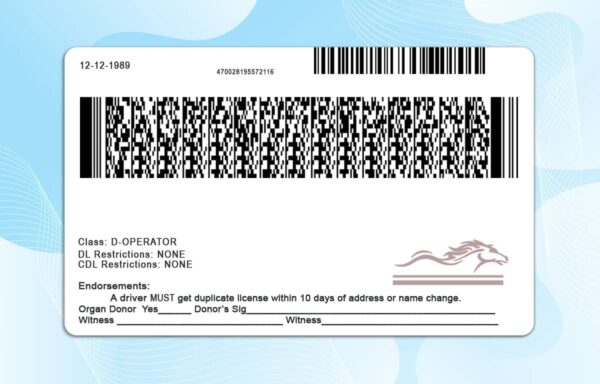 Kentucky Drivers License Template - PSD File