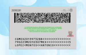 Editable Mexican Consular ID Card PSD Template