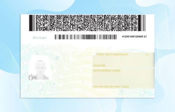 Editable New York Drivers License Template