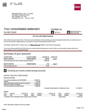 Editable USA BB&T Bank Statement Template