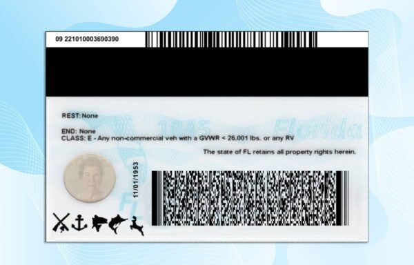 Editable Florida Drivers License Template