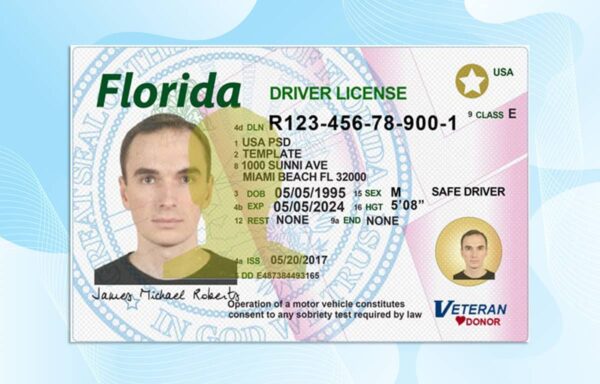 Editable Florida Drivers License Template