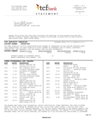 Editable USA TCF Bank Statement Template