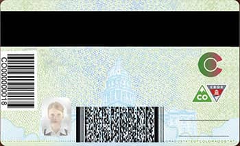 Colorado Driver License PSD Template (New Edition) - Fully editable