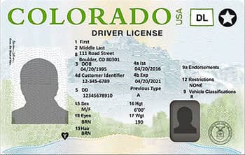 Colorado Driver License PSD Template (New Edition) - Fully editable