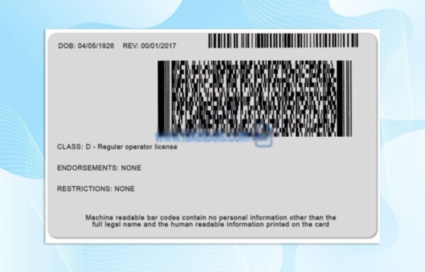 Idaho Driver License PSD Template (New Edition) - Fully editable
