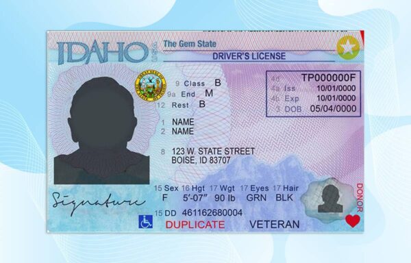 Idaho Driver License PSD Template (New Edition) - Fully editable