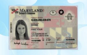 Maryland Driver License PSD Template (New Edition) - Fully editable
