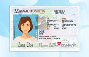 Massachusetts Driver License PSD Template (New Edition) - Fully editable