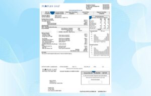 Illinois Utility Bill PSD Template- Fully editable