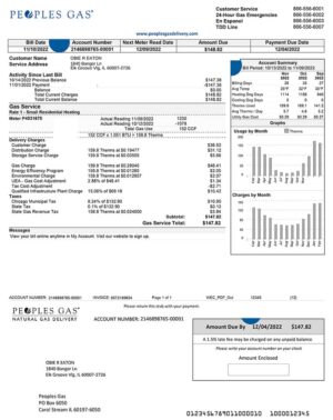 Illinois Utility Bill PSD Template- Fully editable