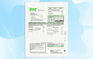 Delaware Utility Bill PSD Template- Fully editable