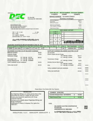 Delaware Utility Bill PSD Template- Fully editable