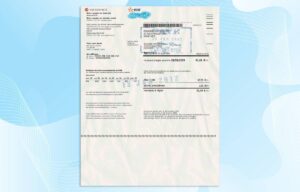 France Utility Bill PSD Template(EDF)- Fully editable