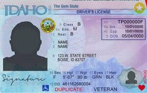 Idaho Driver License PSD Template (New Edition) - Fully editable