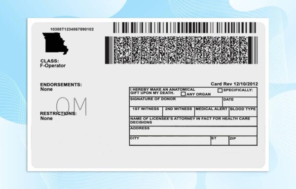 Missouri Driver license PSD Template (New Edition) - Fully editable
