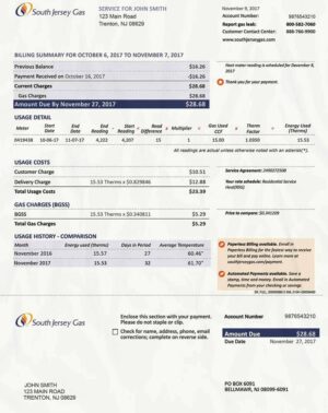 New Jersey Utility Bill PSD Template- Fully editable