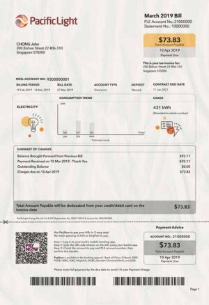 Singapore Utility Bill PSD Template- Fully editable
