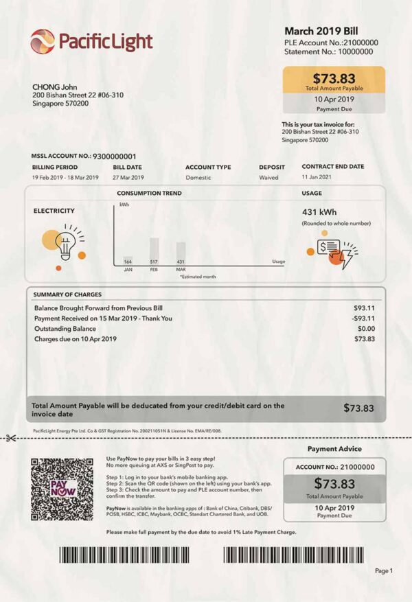 Singapore Utility Bill PSD Template- Fully editable
