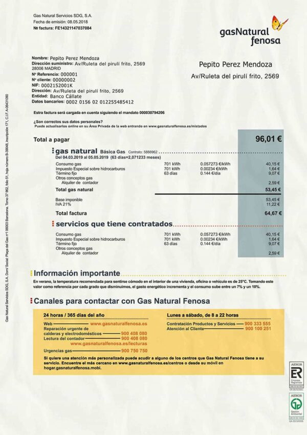 Spain Utility Bill PSD Template- Fully editable