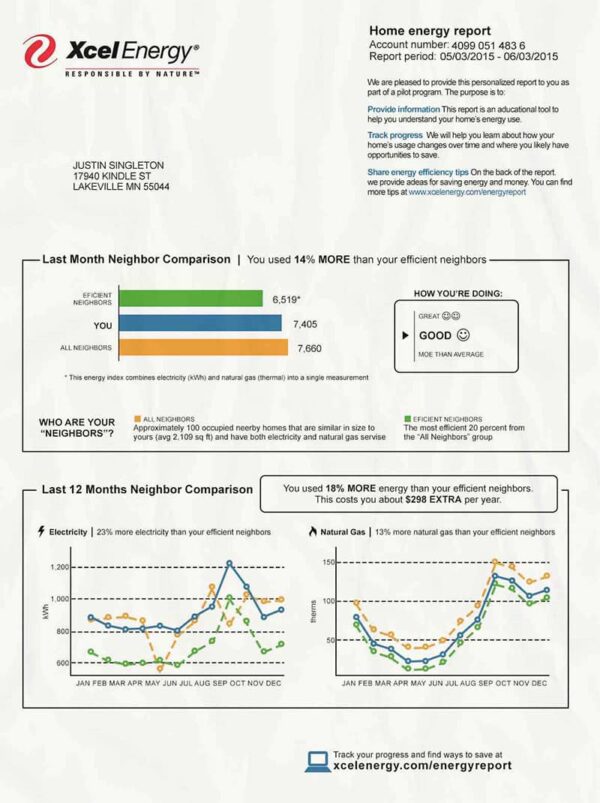 USA Utility Bill PSD Template (Xcel Energy)- Fully editable