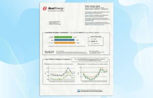USA Utility Bill PSD Template (Xcel Energy)- Fully editable