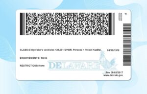 Editable Delaware Drivers License Template